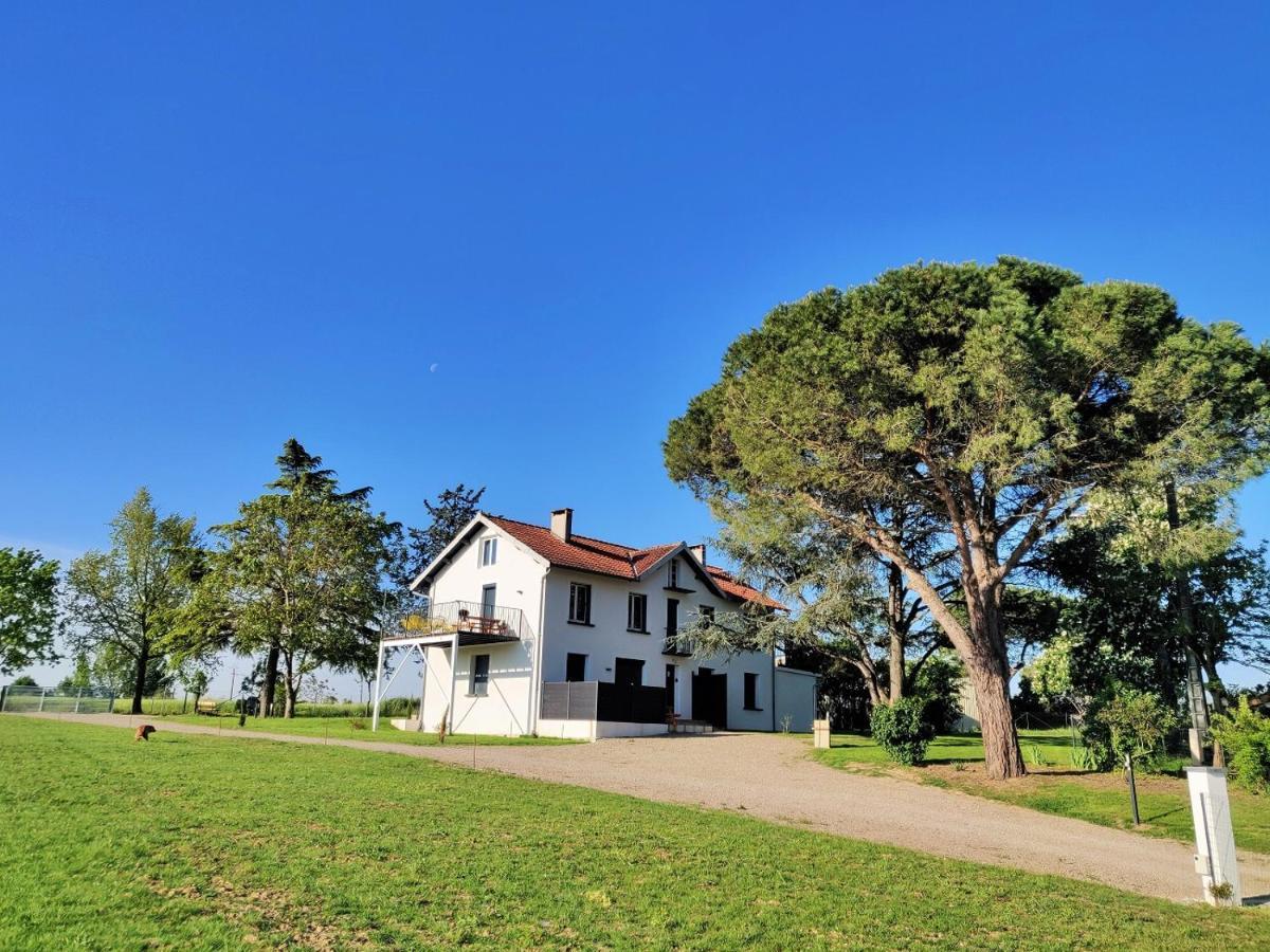 Le Cottage Duo Vigne Rouge Sauna Gaillac Entre Albi-Toulouse & Les Cottages Du Tarn Brens  Zewnętrze zdjęcie